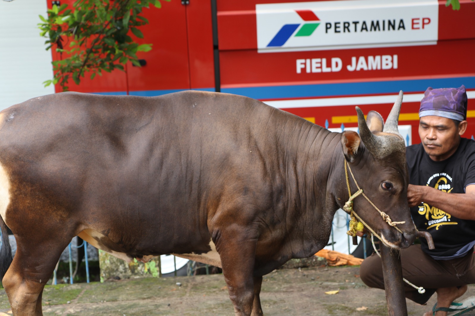 PHR Zona 1 Rayakan Idul Adha 1446 H dengan Semangat Berbagi dan Kebersamaan